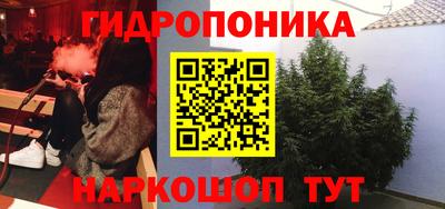 хмурый Анапа